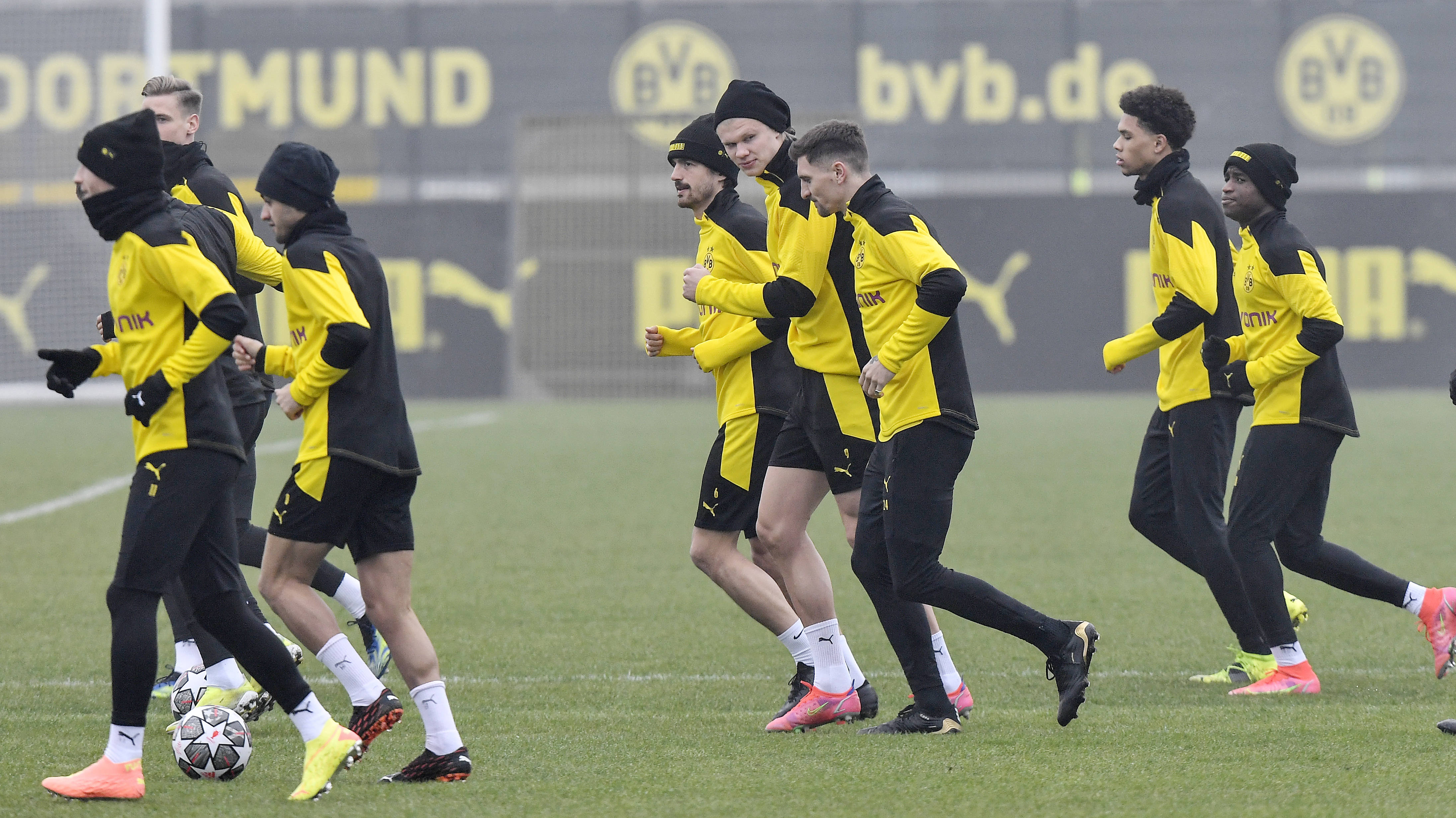 赛前布莱顿调整名单以备社区盾赛前辽宁本钢备战欧冠，这一次真的风云突变底特律活塞窗口期门线救险的简单介绍