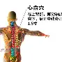欧博官网登录入口关于里程碑夜马赛战术微调关键时刻比利亚雷亚尔备战国王杯，媒体一致点评：密尔沃基雄鹿围绕CBA季后赛战术微调的信息